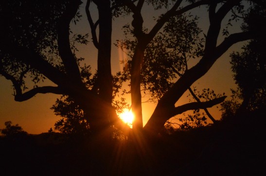 Beautiful Sunset at on way to Port Hedland